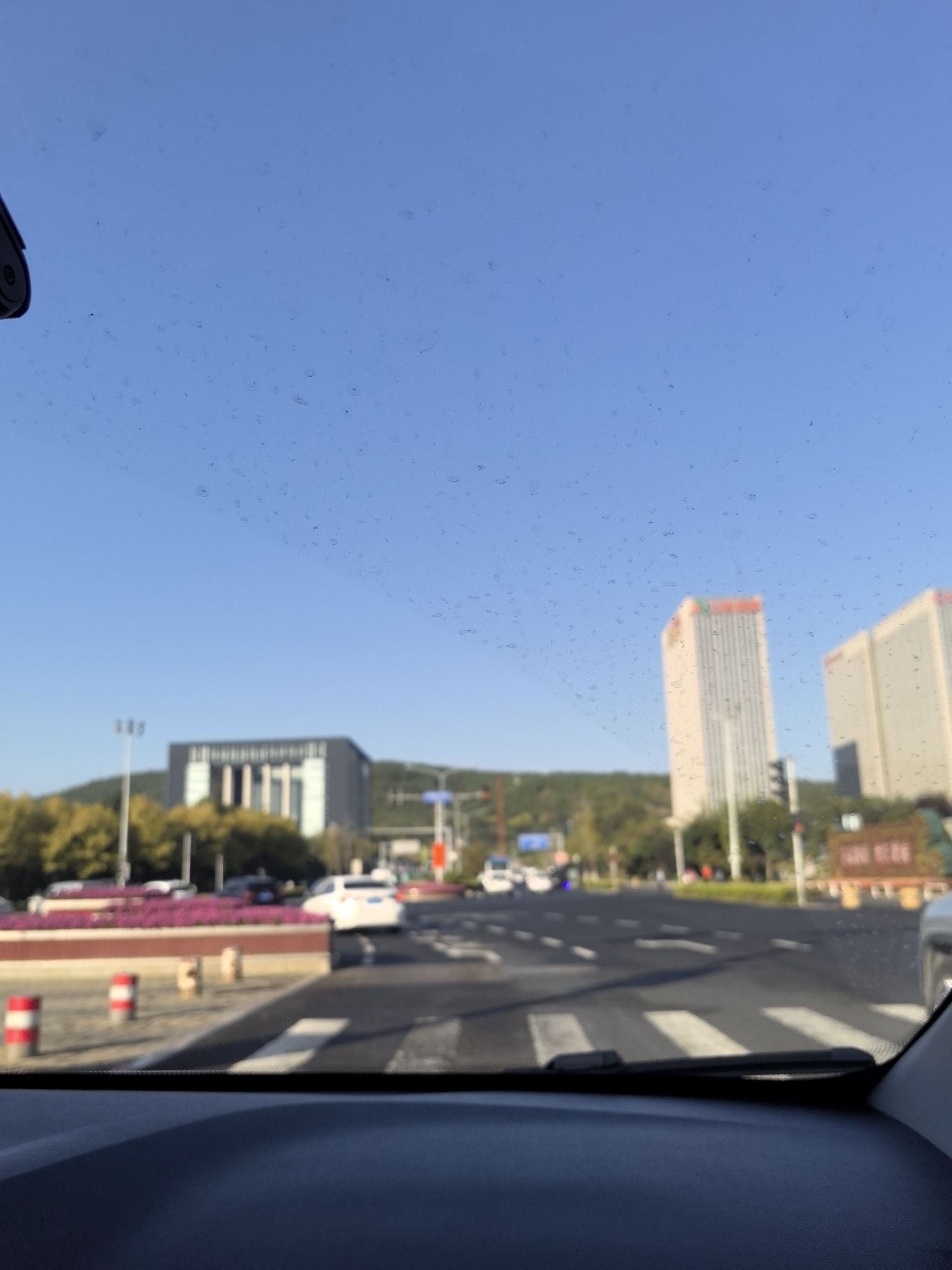 龙奥公园旅行图片 2