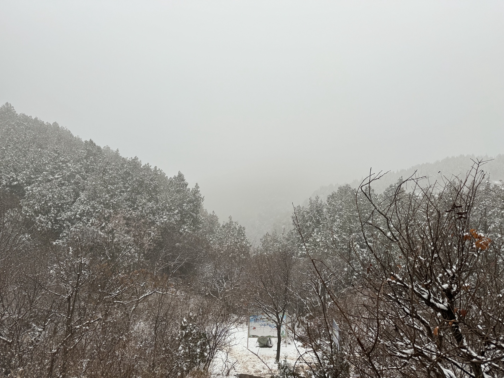 龙洞风景区旅行图片 2