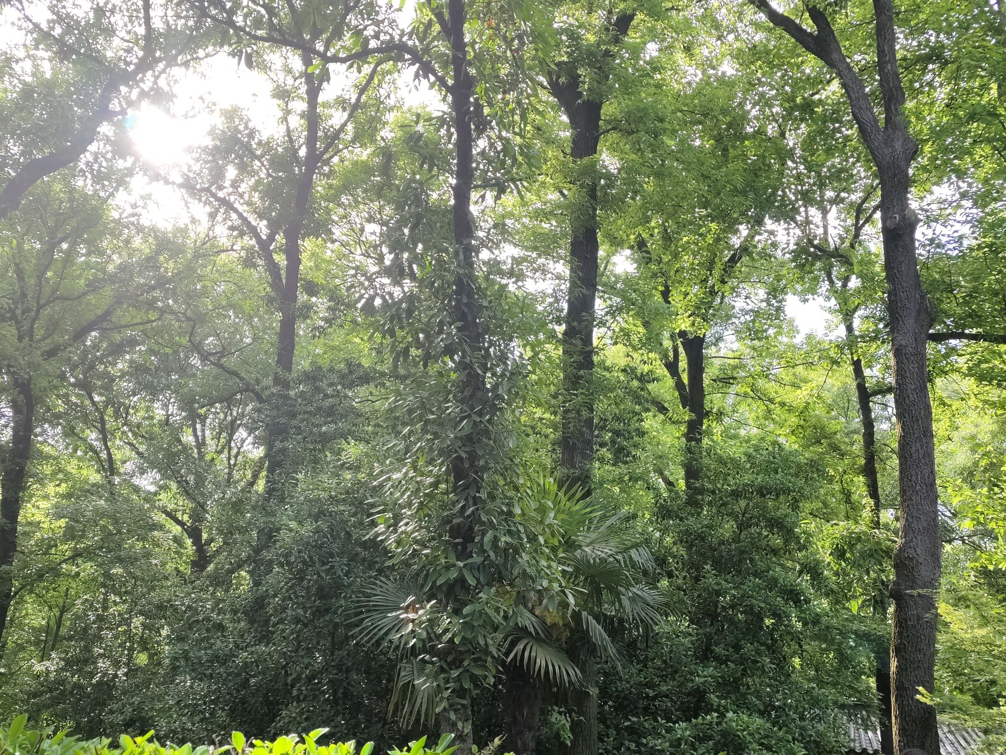 济南黄金谷山水风景区旅行图片 2