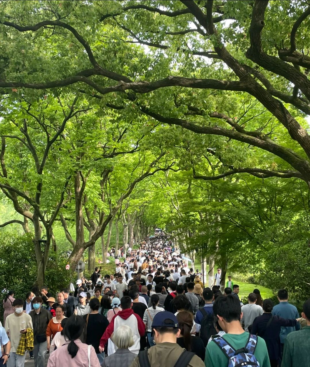 济南黄金谷山水风景区旅行图片 3