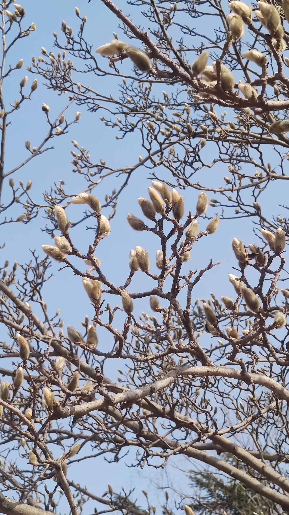 人民广场旅行图片 3