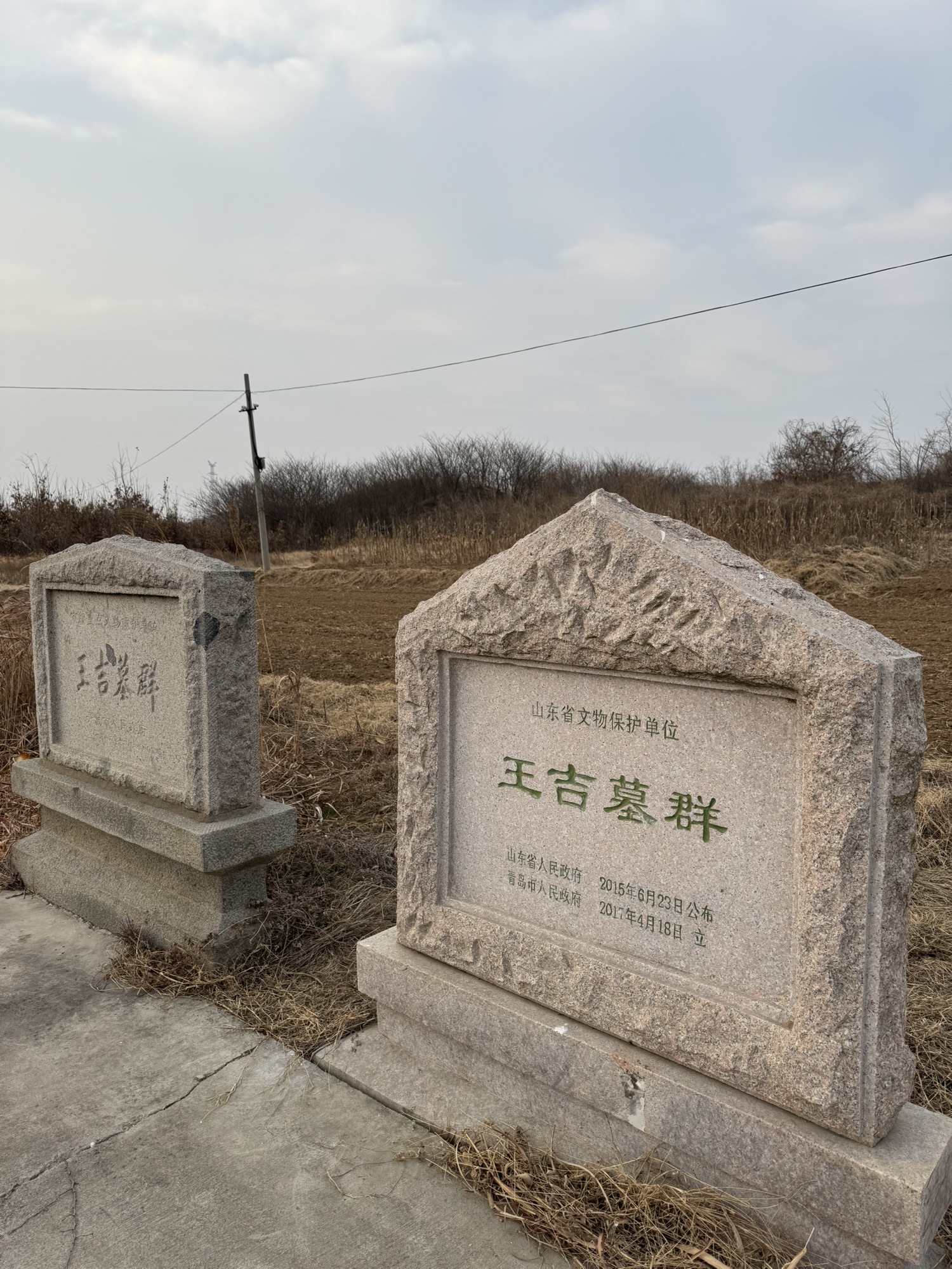 王吉墓群旅行图片 1