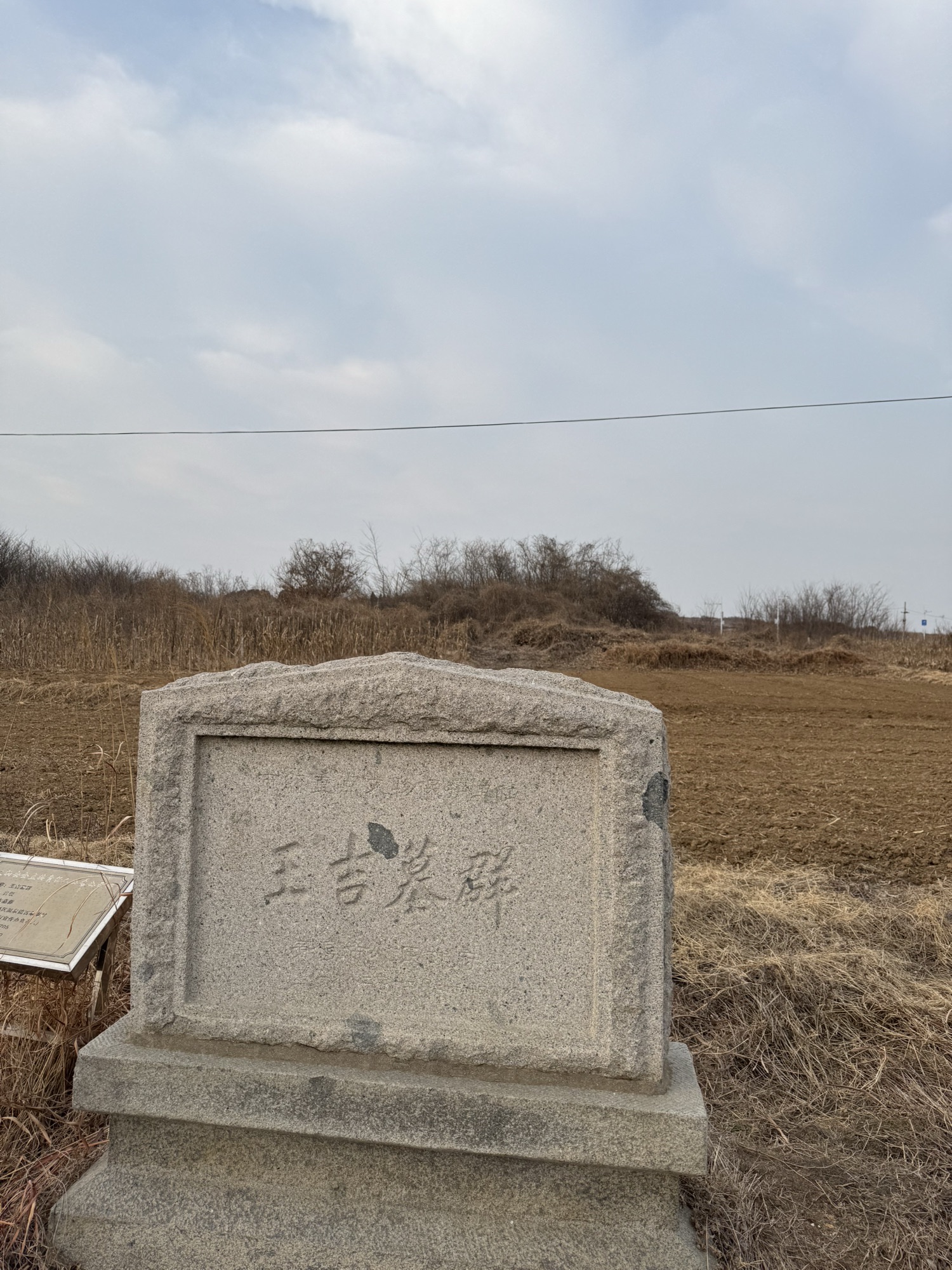 王吉墓群旅行图片 2
