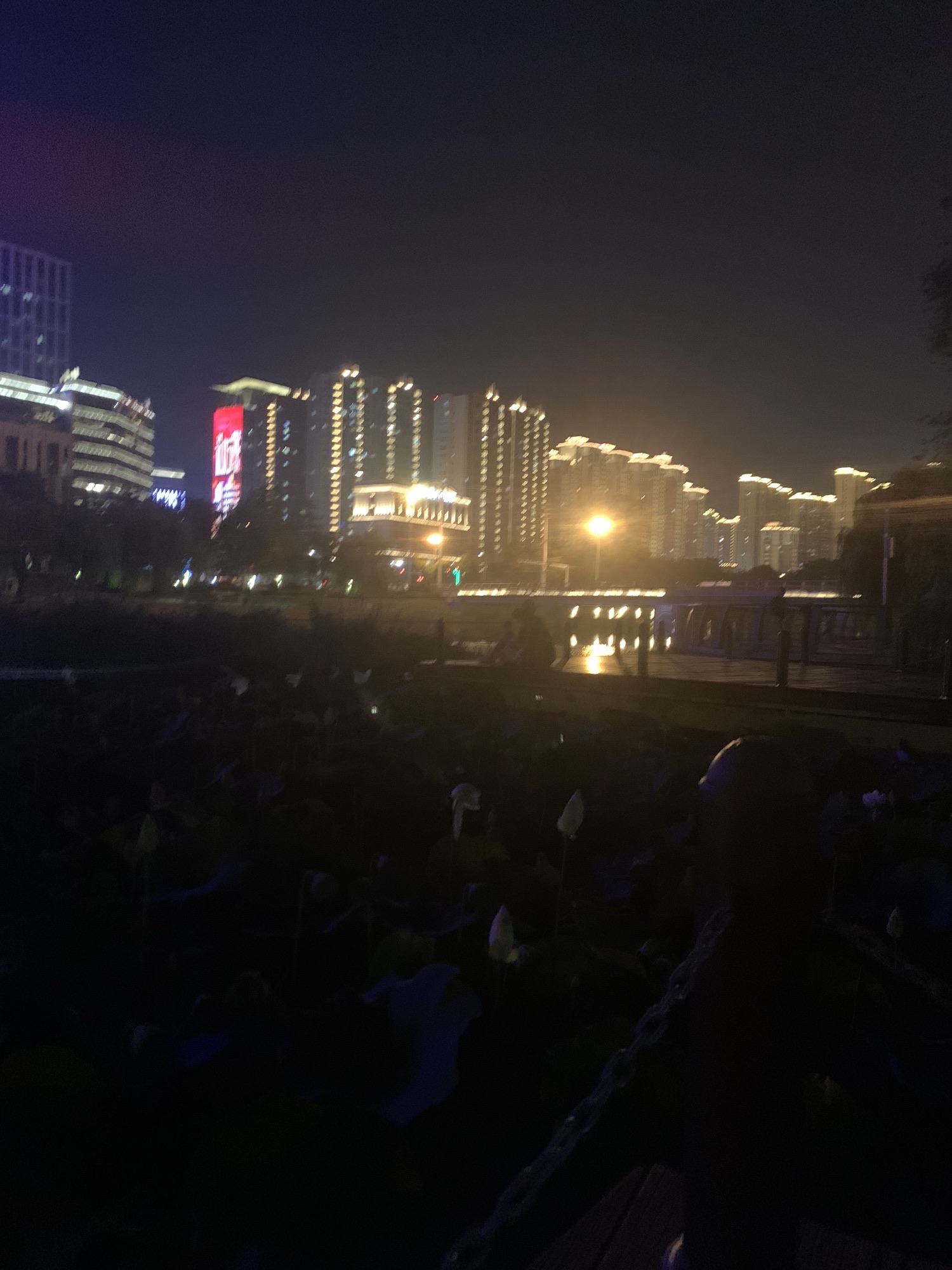 墨河公园旅行图片 3