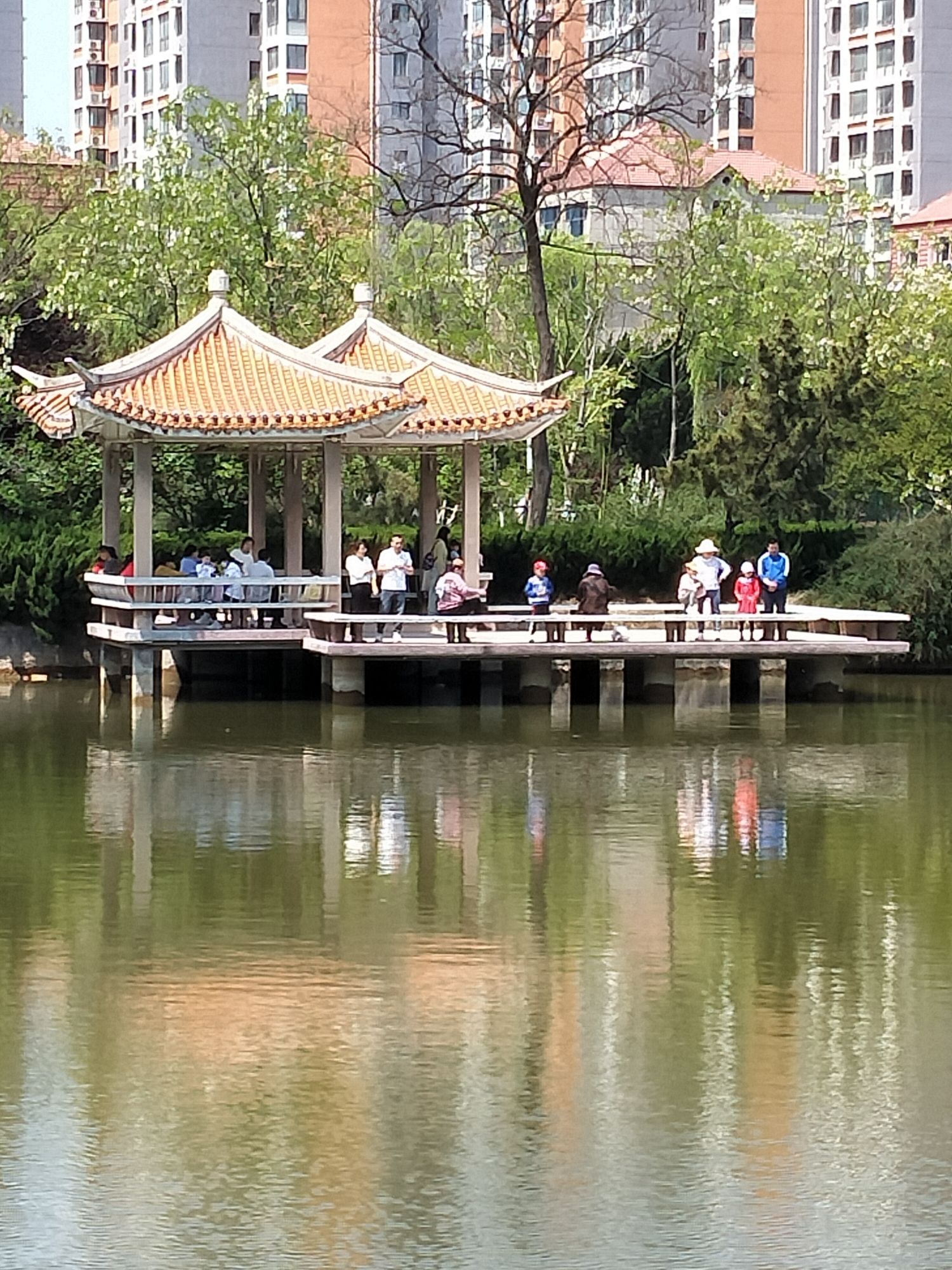 胶州公园旅行图片 3