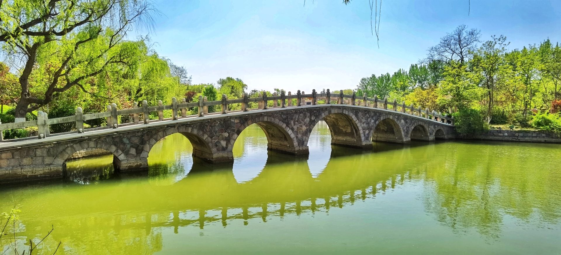 胶州公园旅行图片 1