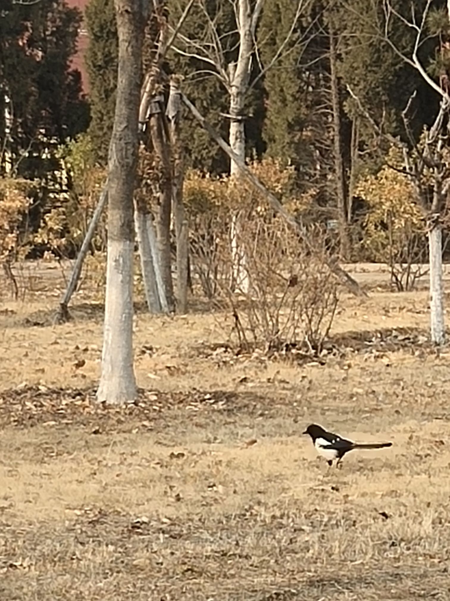 仙家寨公园旅行图片 3