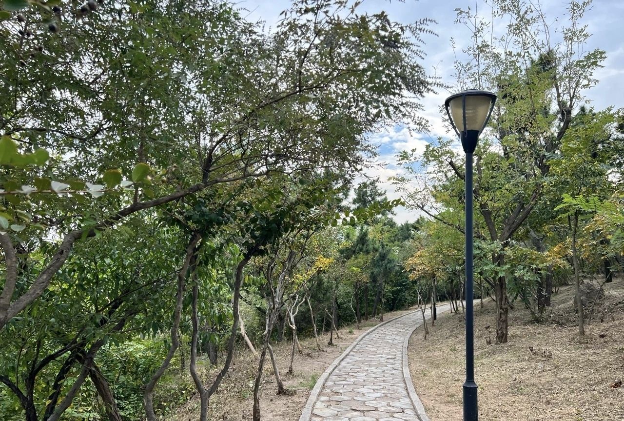 烟墩山公园旅行图片 1
