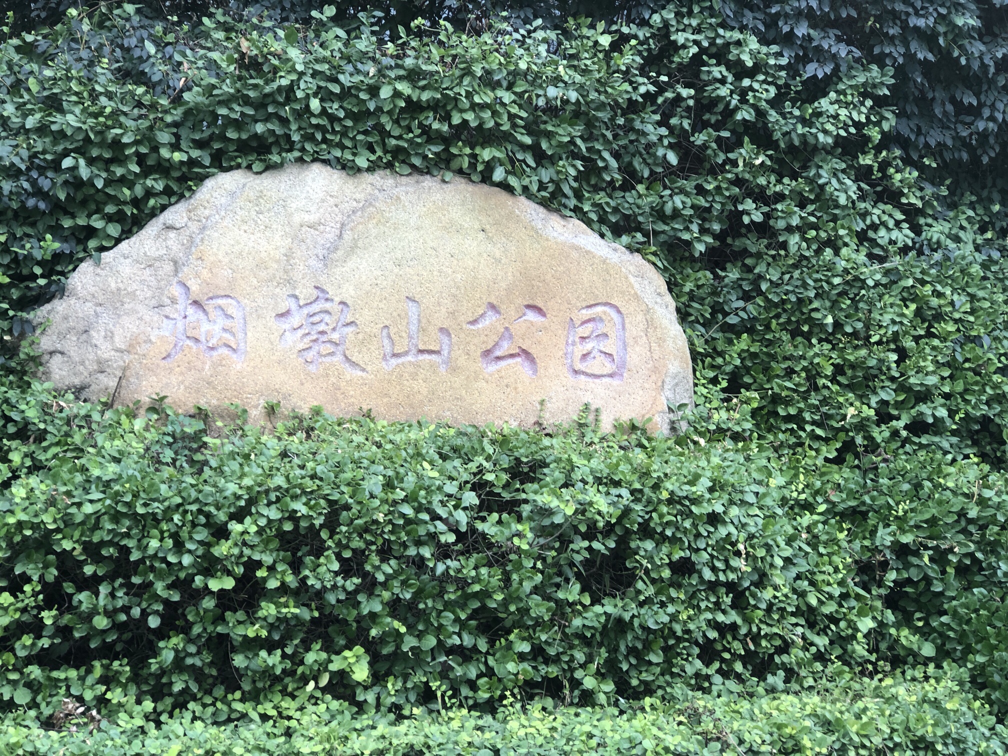 烟墩山公园旅行图片 1