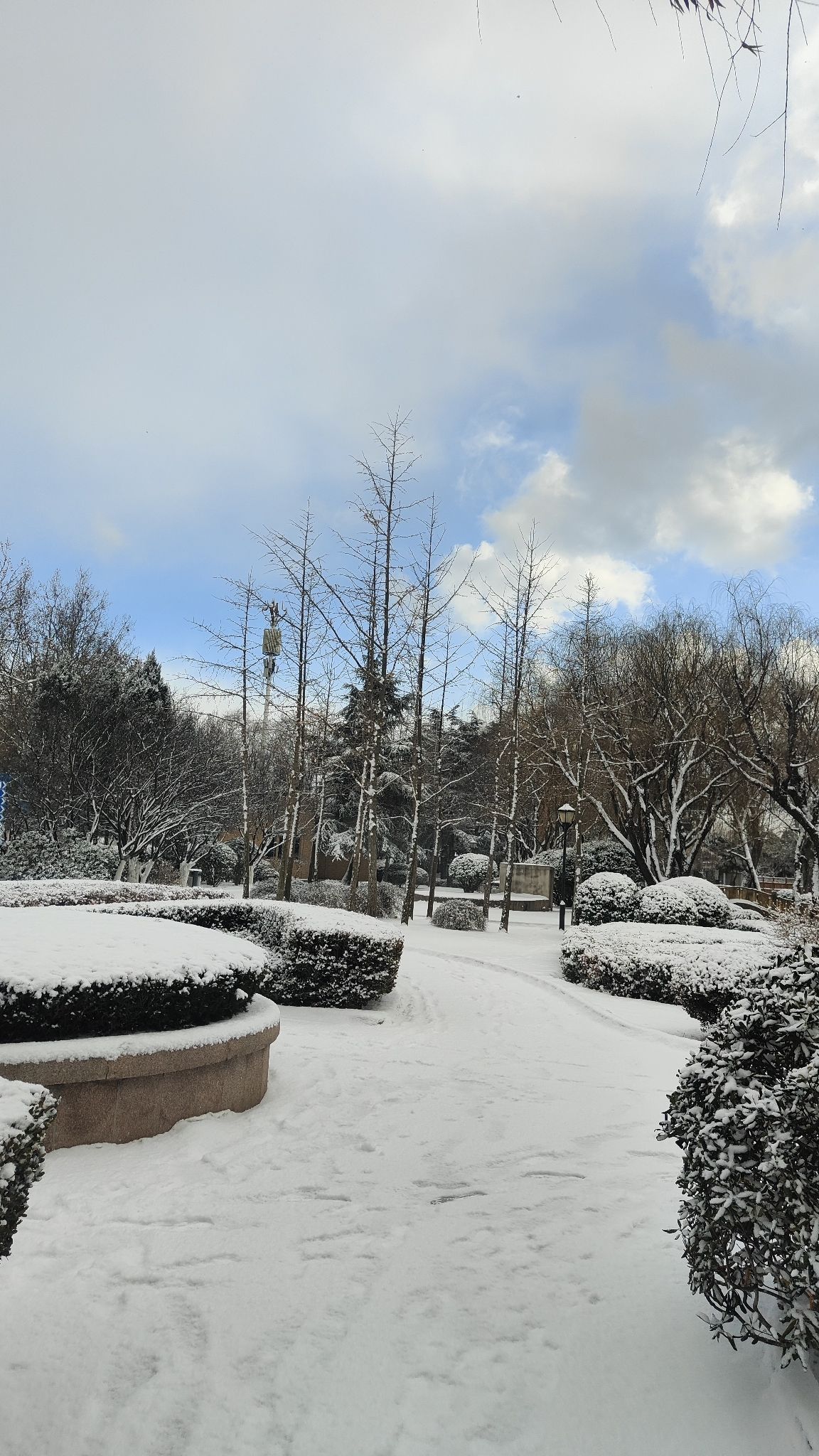 青岛沧口公园旅行图片 2