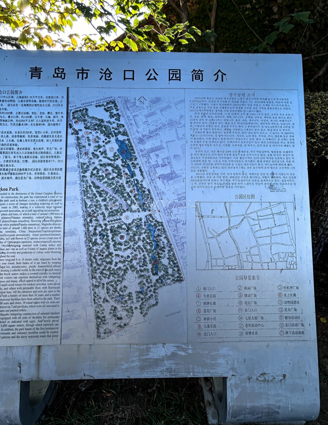 青岛沧口公园旅行图片 3