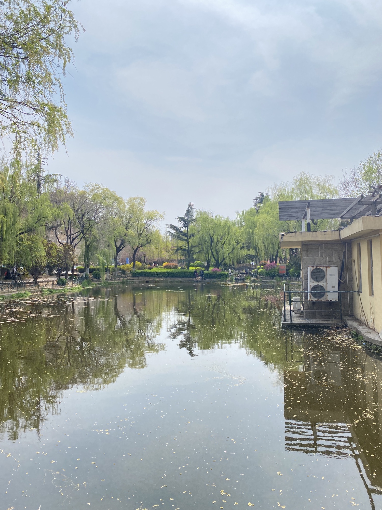 青岛沧口公园旅行图片 1