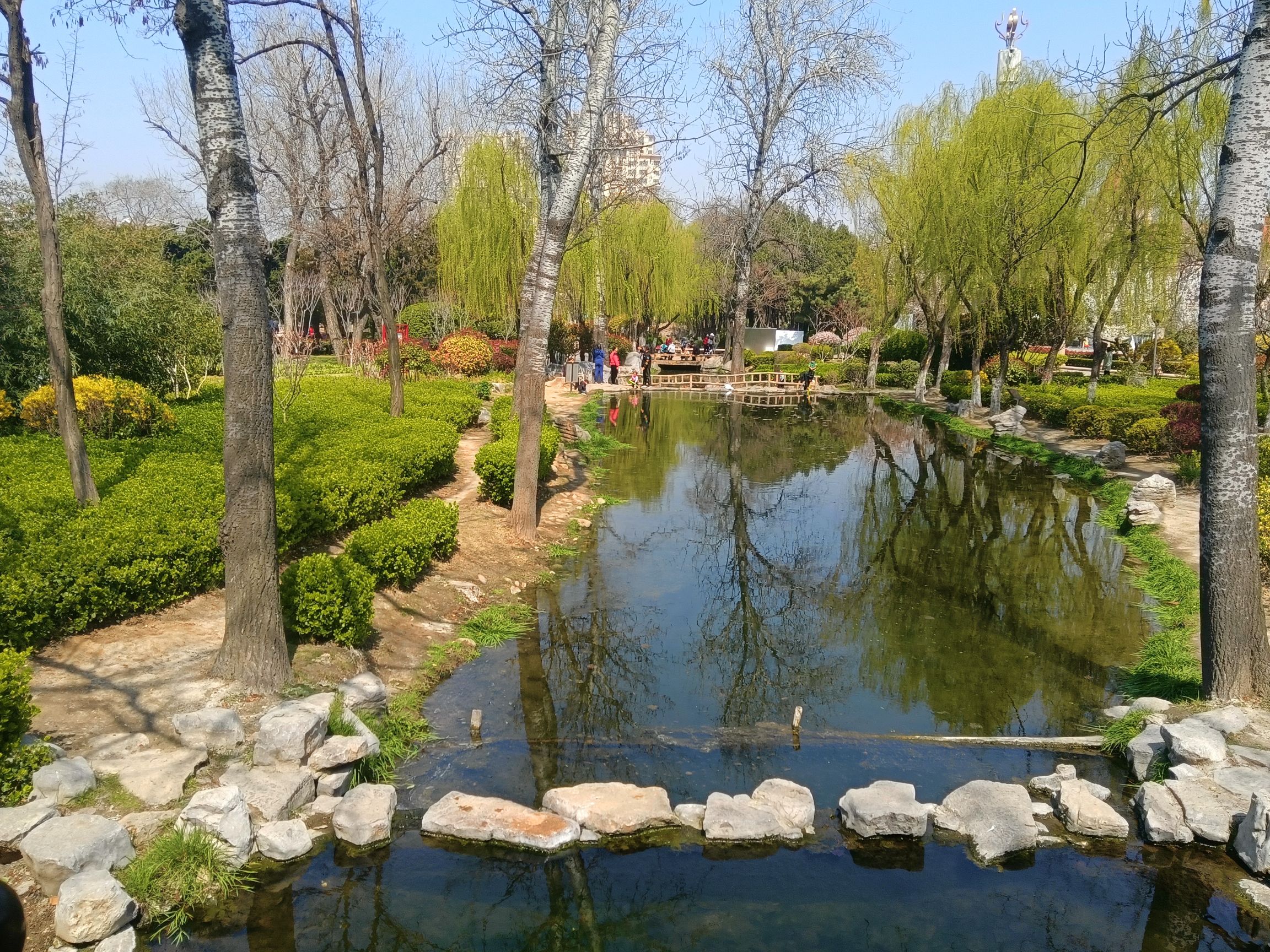 青岛沧口公园