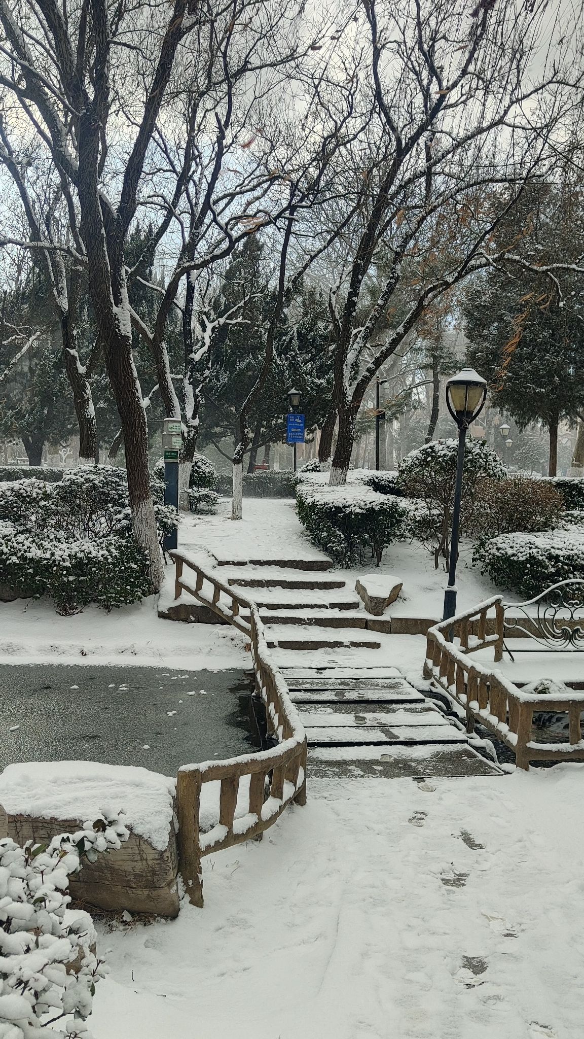 青岛沧口公园旅行图片 1