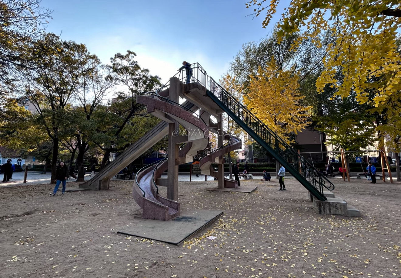 青岛沧口公园旅行图片 2
