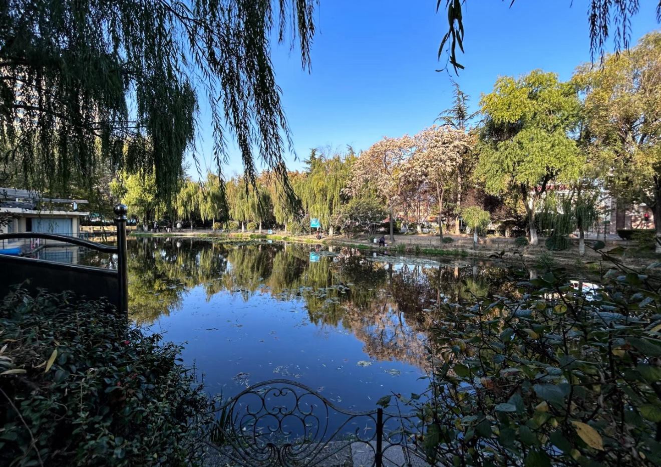 青岛沧口公园旅行图片 1