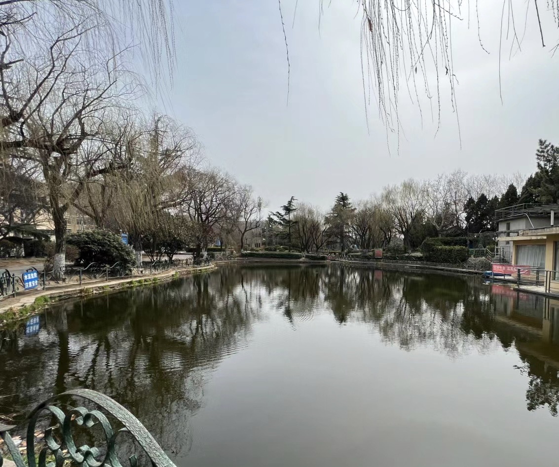 青岛沧口公园旅行图片 2