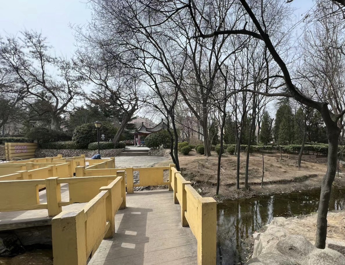 青岛沧口公园旅行图片 3