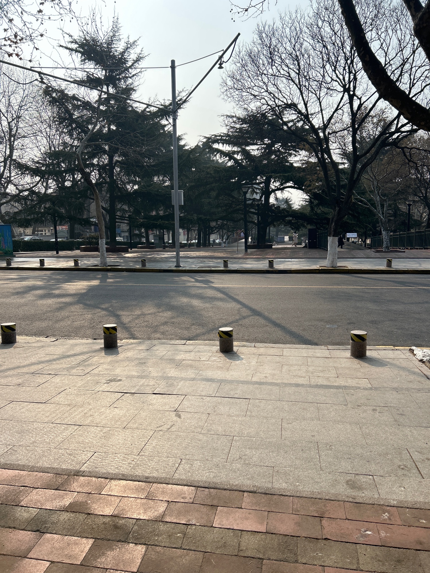 老舍公园旅行图片 2