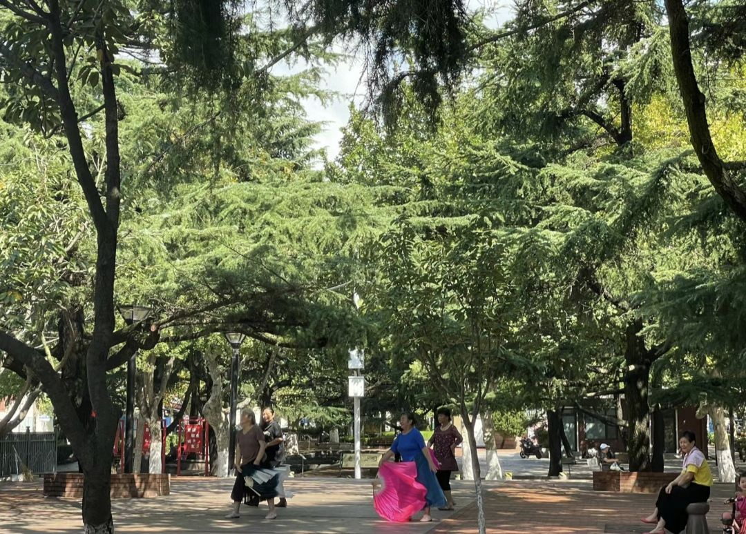 老舍公园旅行图片 1