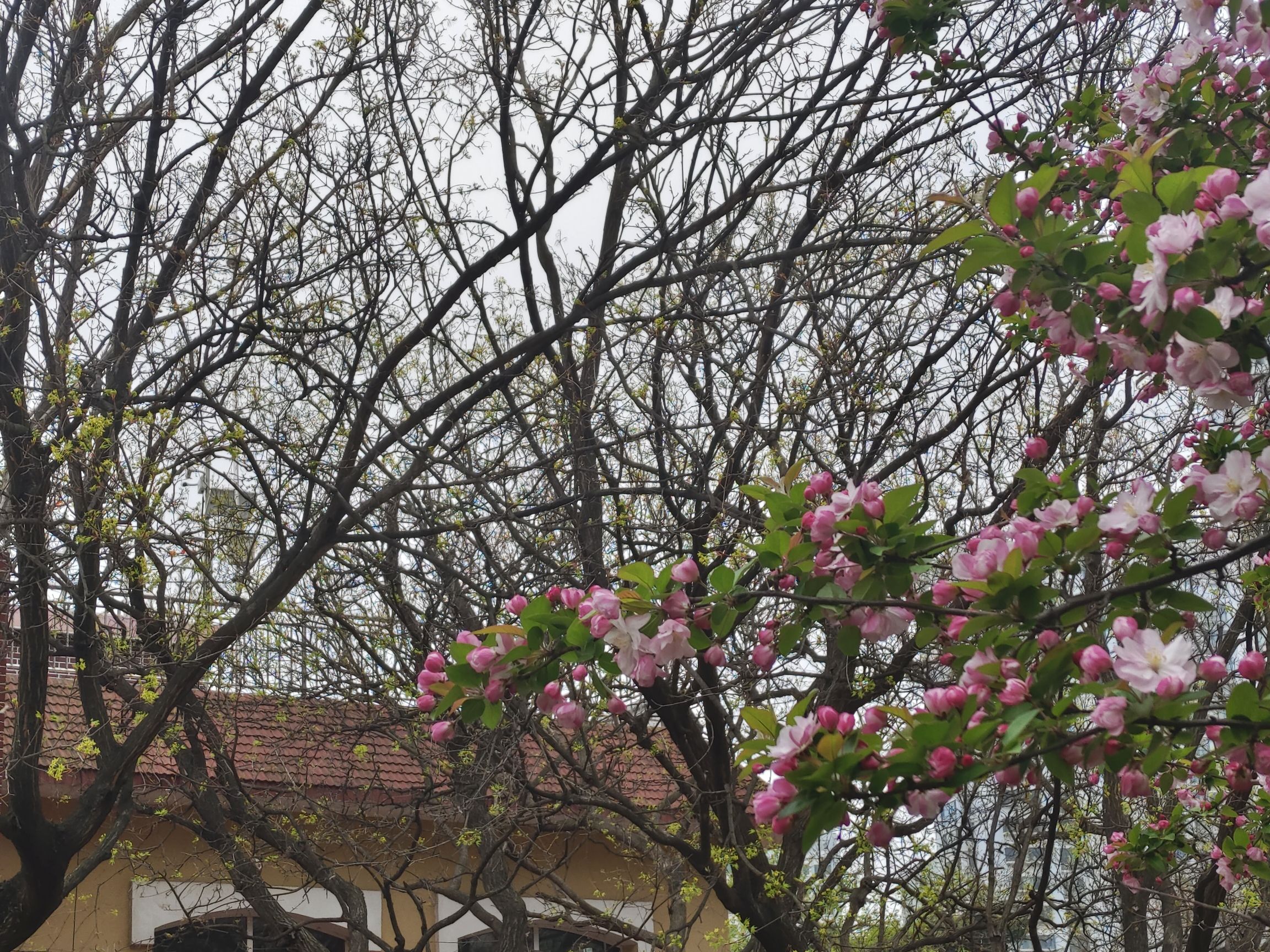 贮水山儿童公园旅行图片 2