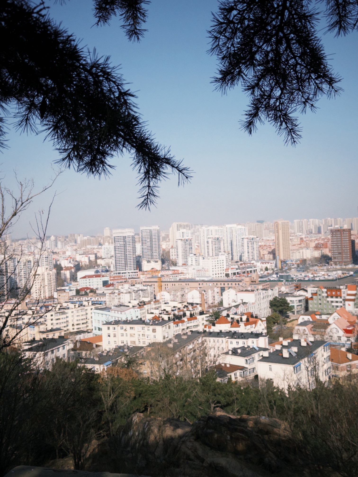 贮水山儿童公园旅行图片 1