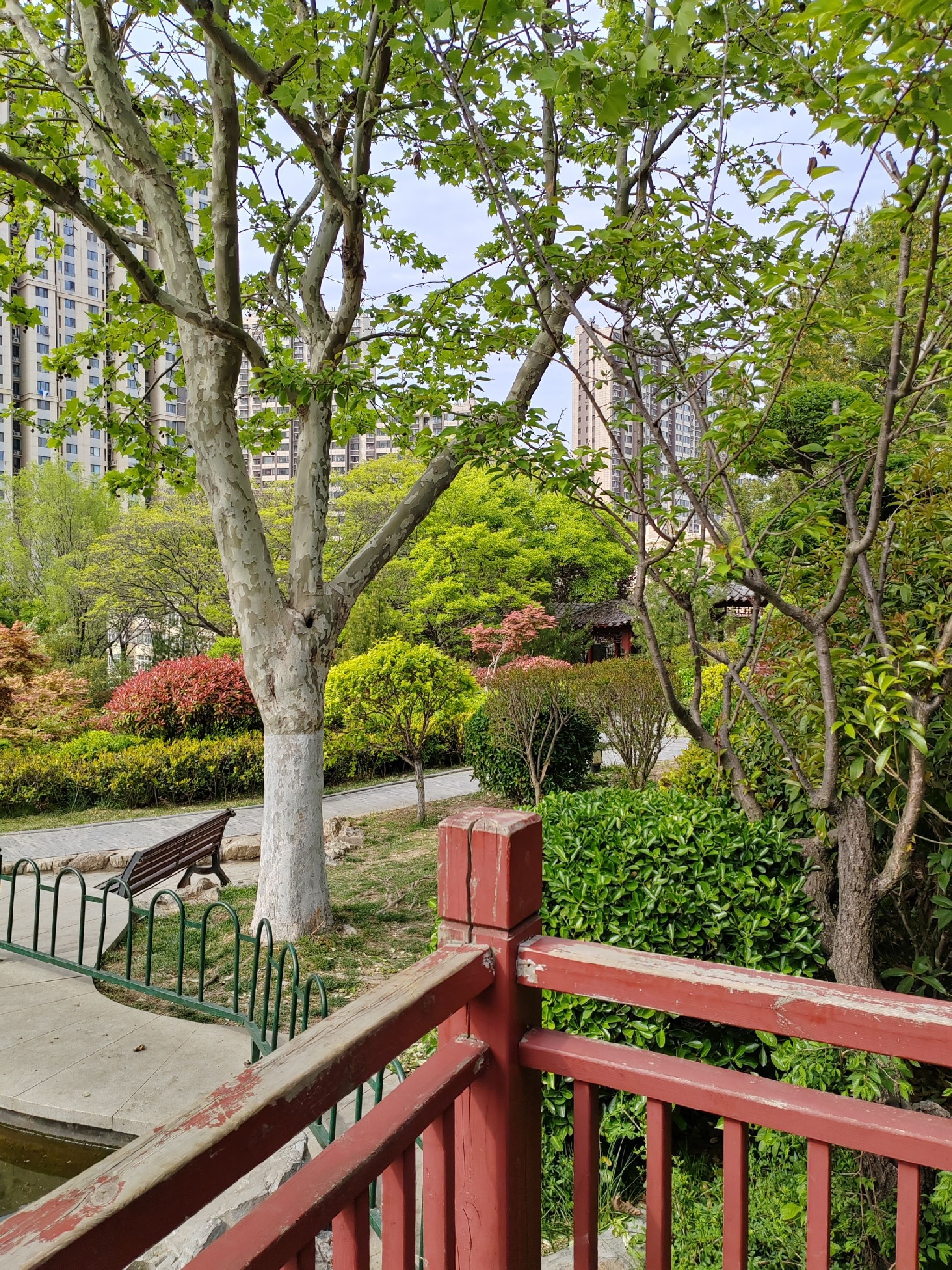 贮水山儿童公园旅行图片 3