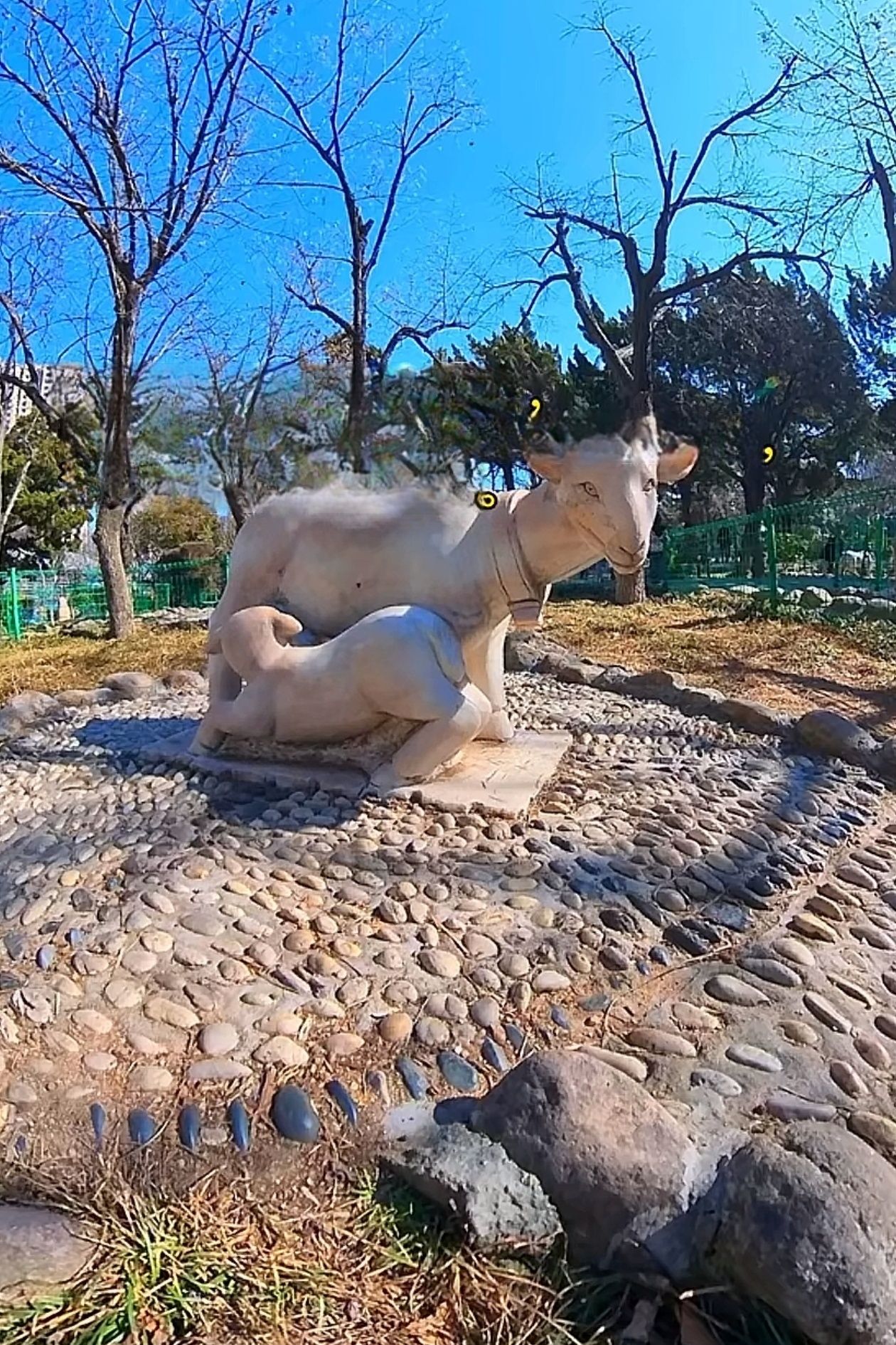 贮水山儿童公园旅行图片 3