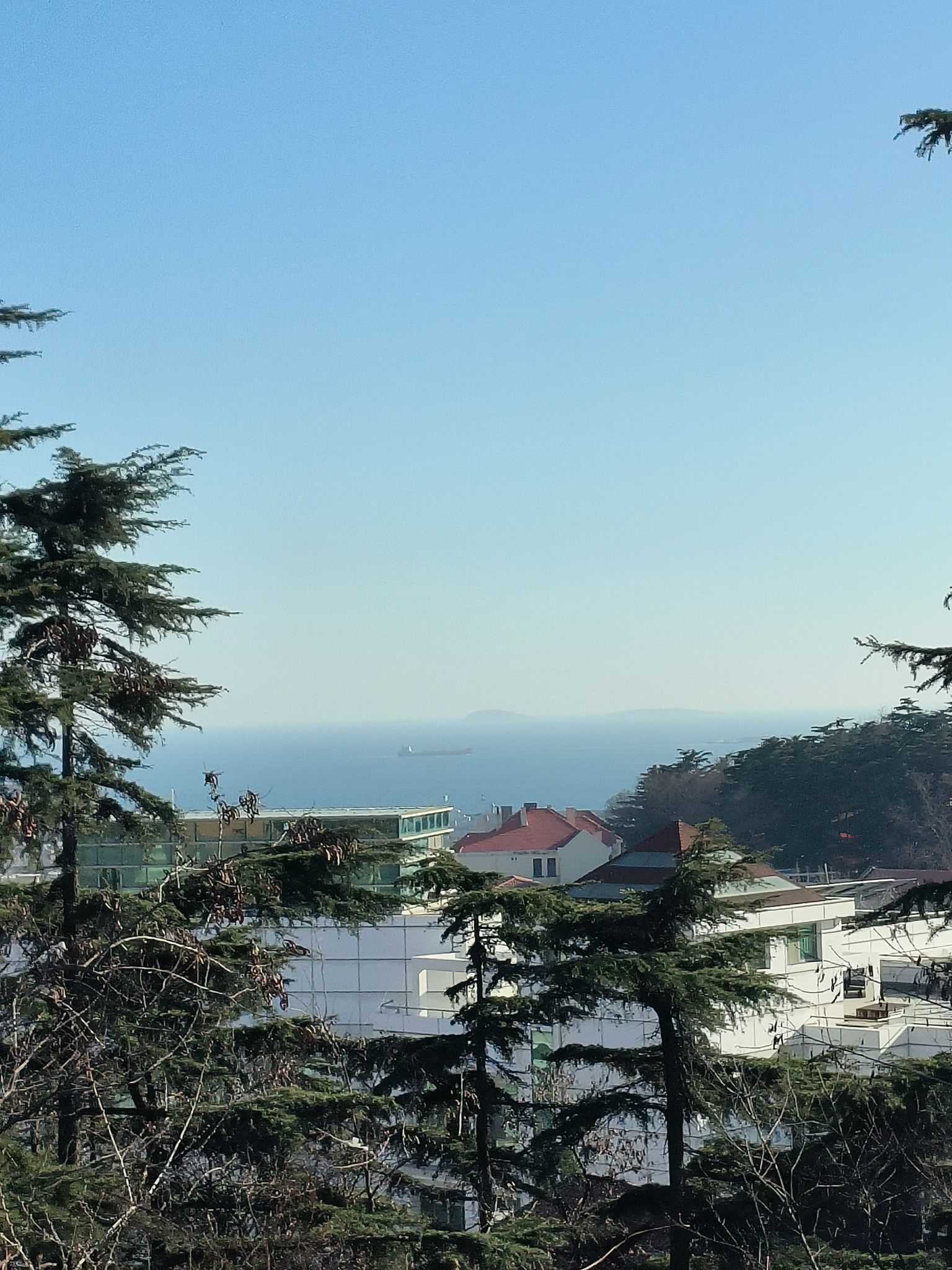 观象山公园旅行图片 3