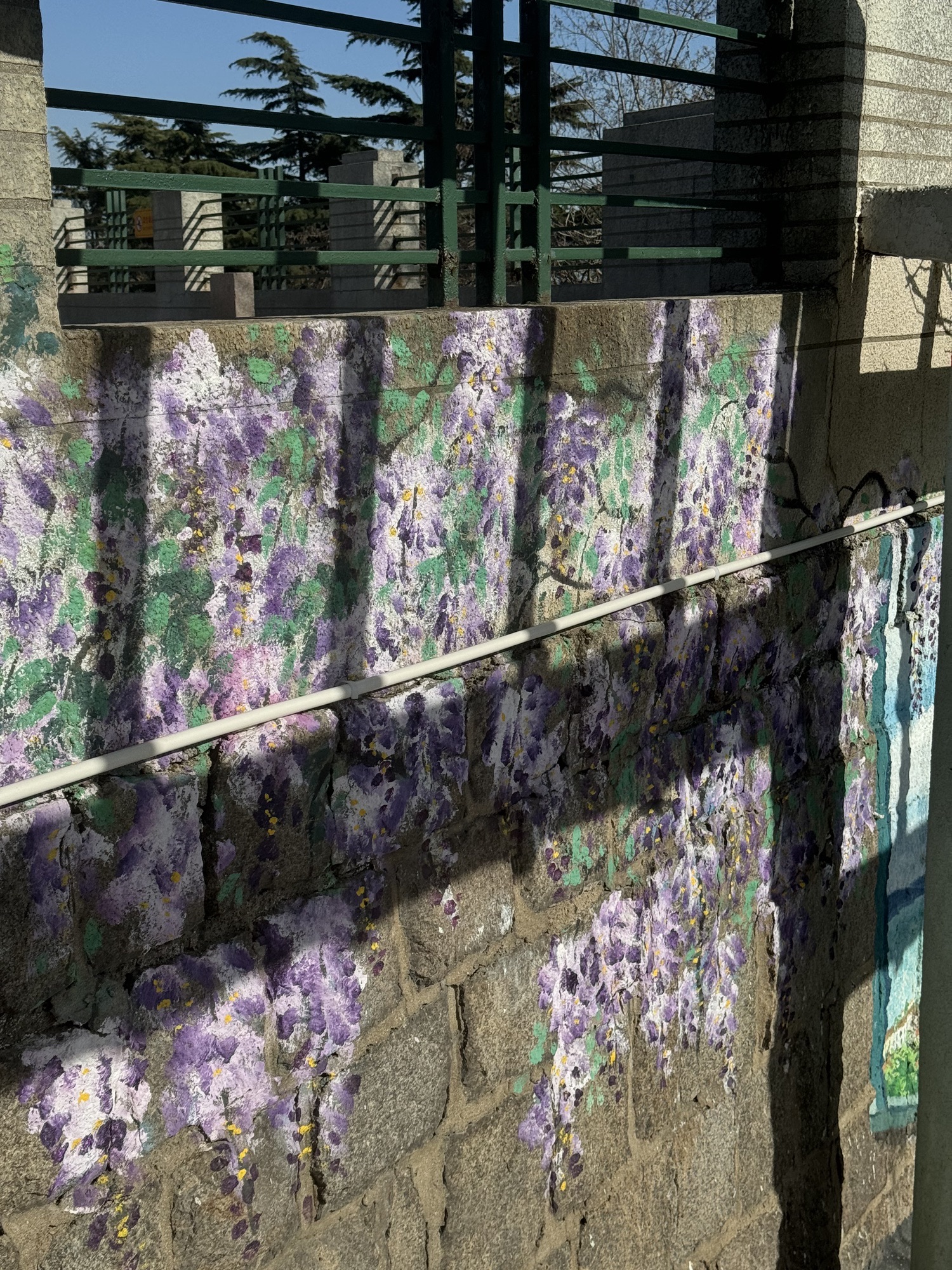 观象山公园旅行图片 2
