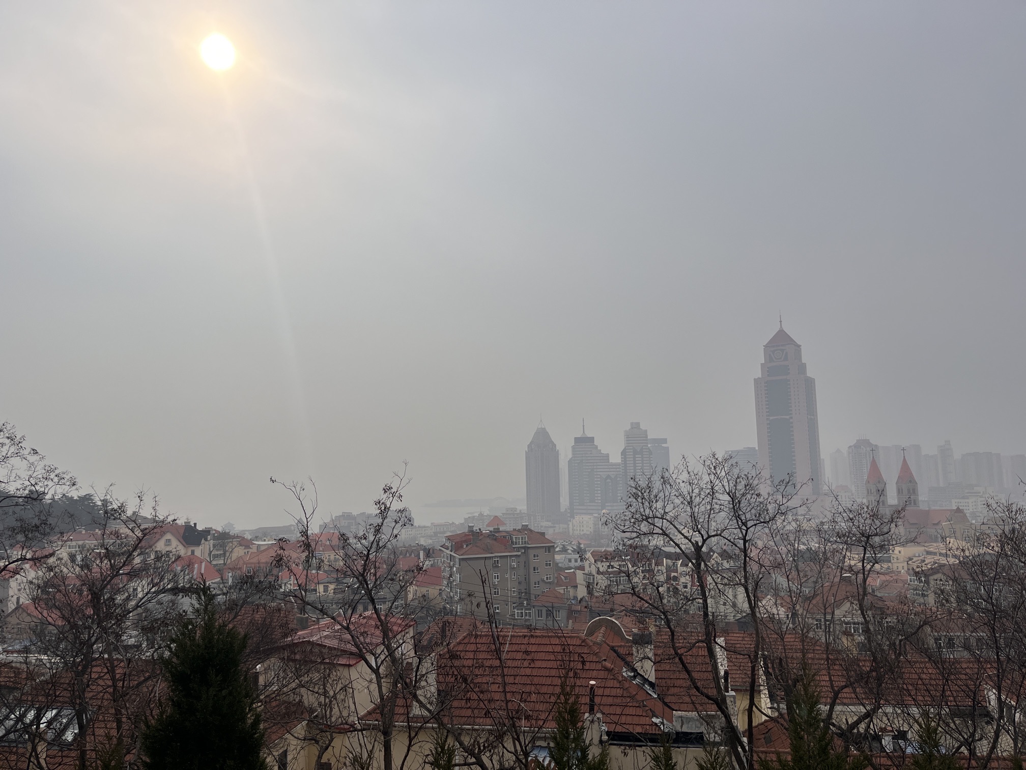 观象山公园旅行图片 3