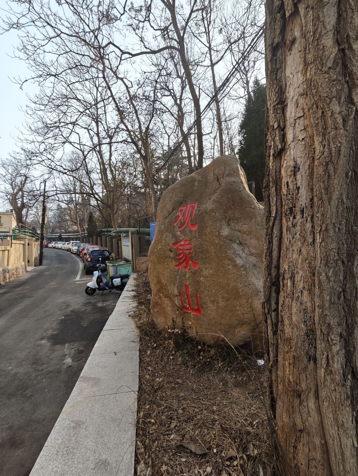 观象山公园旅行图片 2