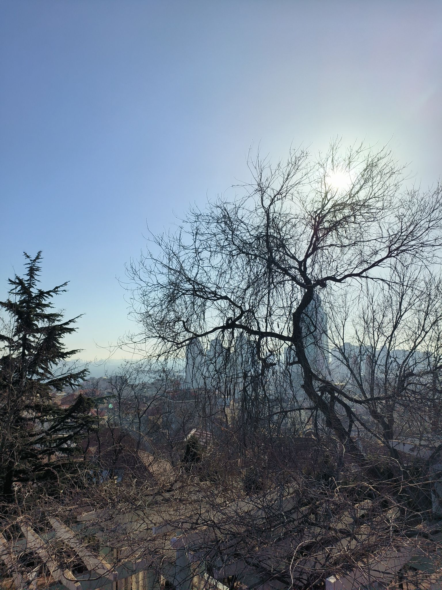 观象山公园旅行图片 2