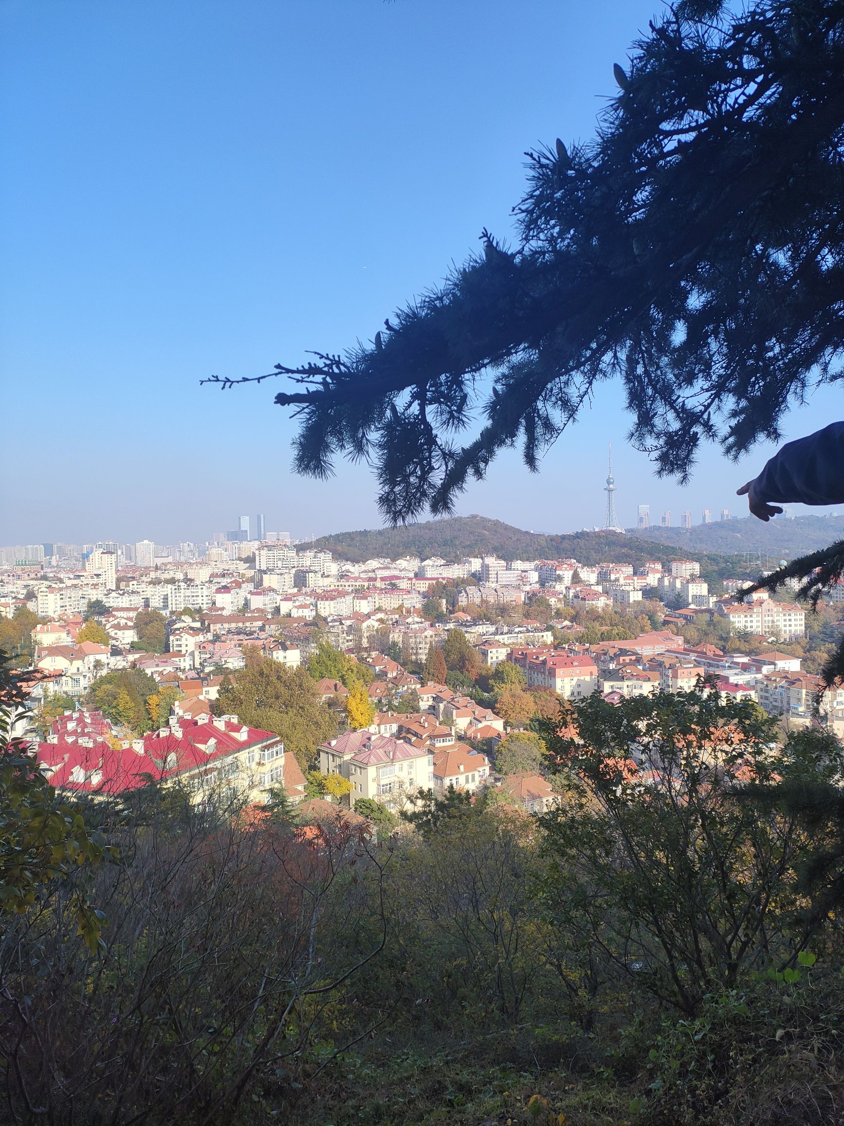 信号山公园旅行图片 3
