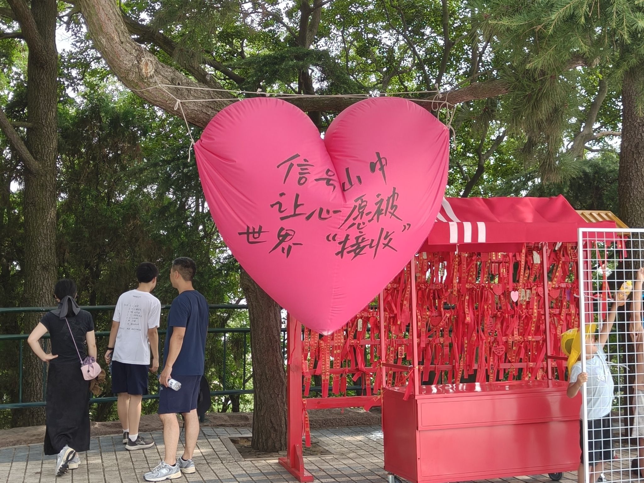 信号山公园旅行图片 1