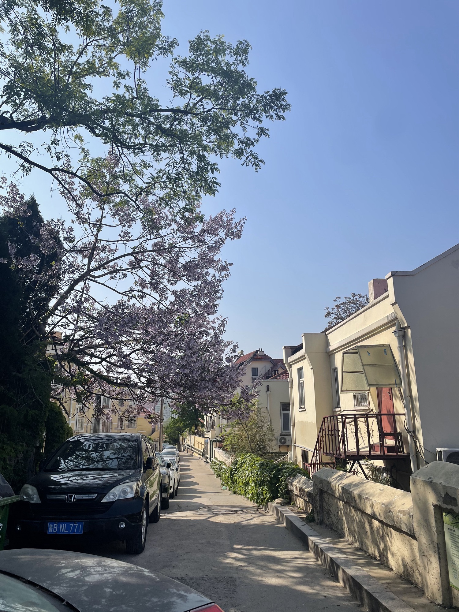 观海山公园旅行图片 2
