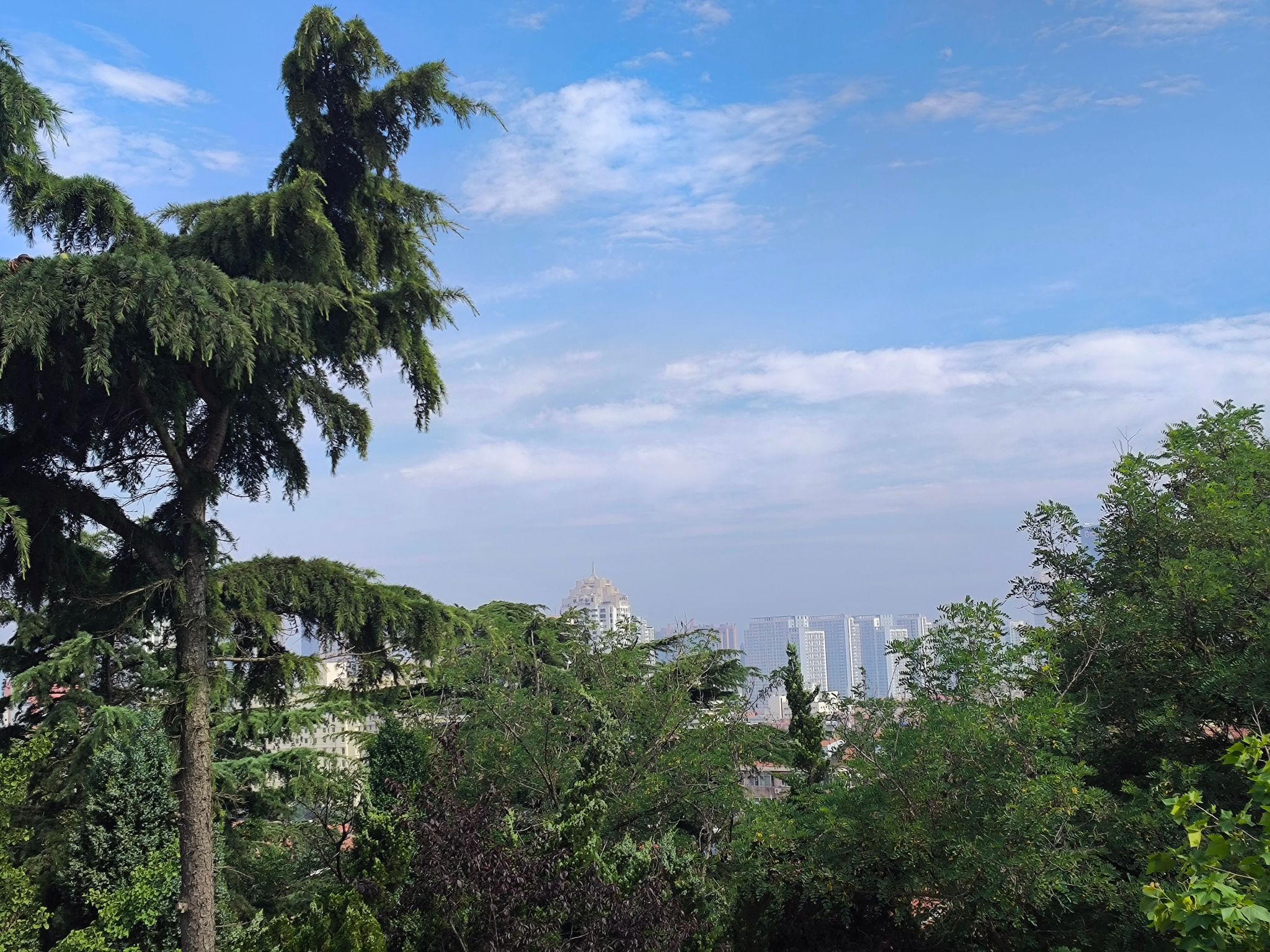 观海山公园旅行图片 3
