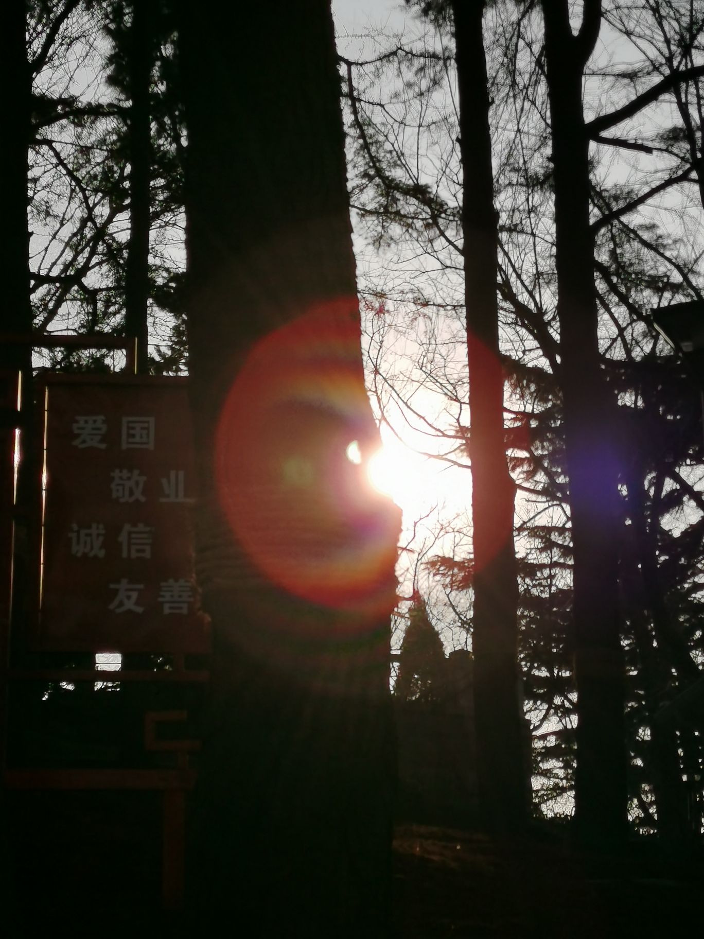 观海山公园旅行图片 2