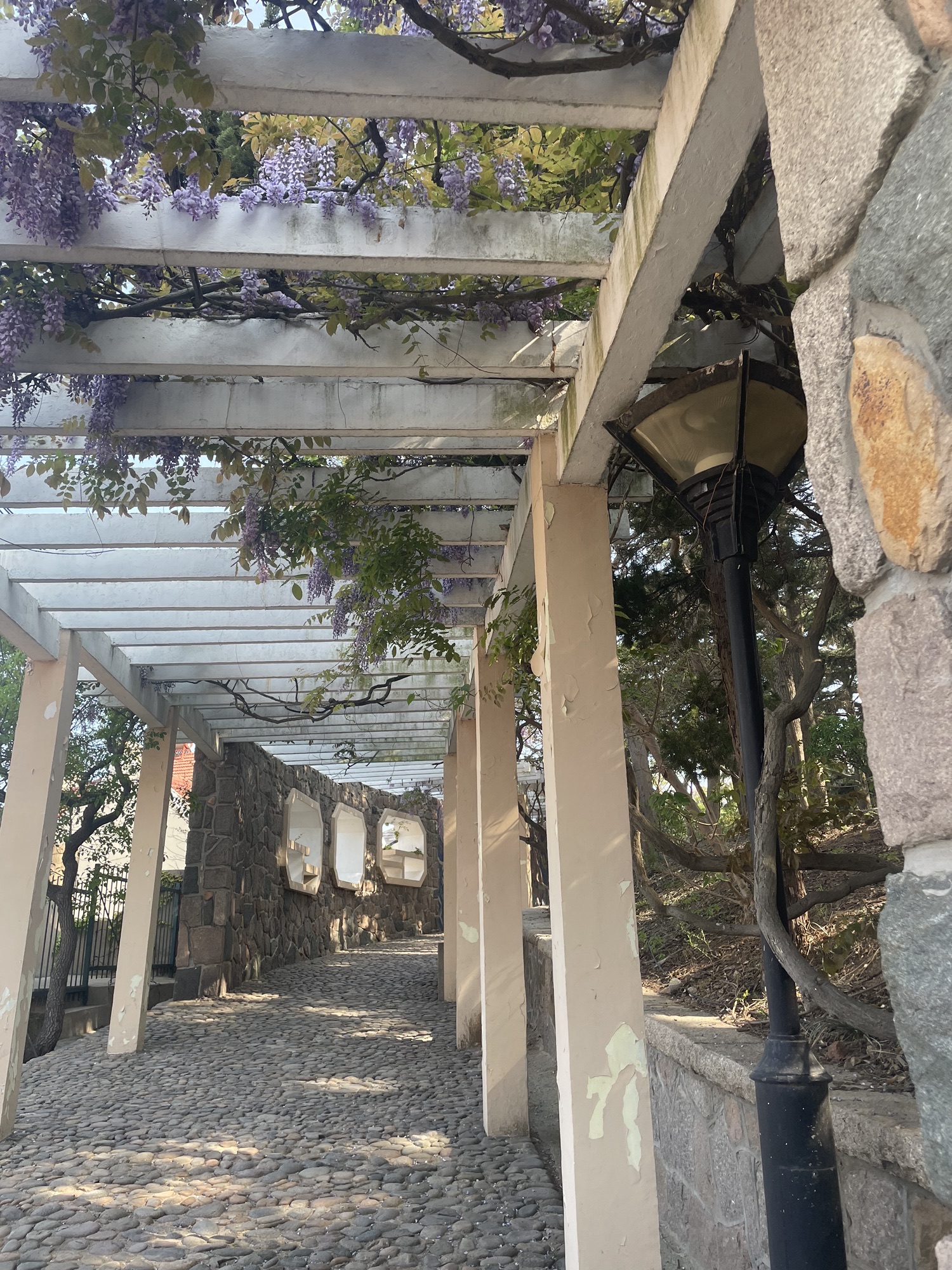 观海山公园旅行图片 3
