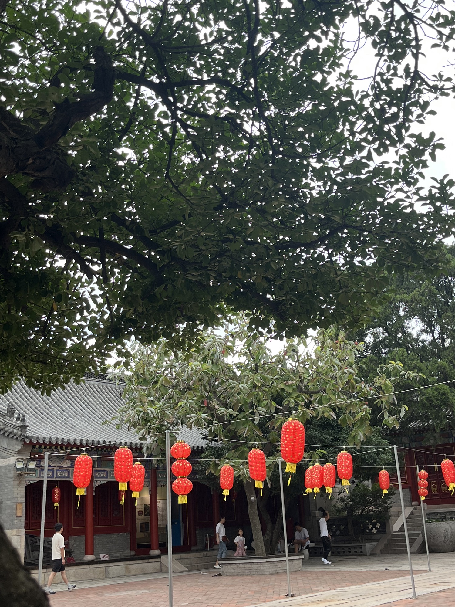 天后宫旅行图片 2