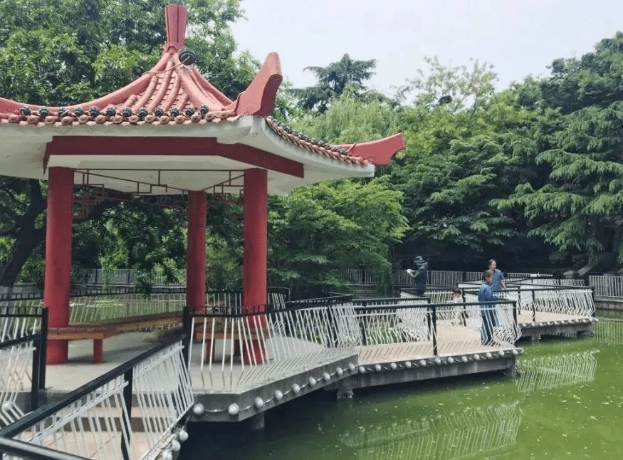 榉林公园旅行图片 2