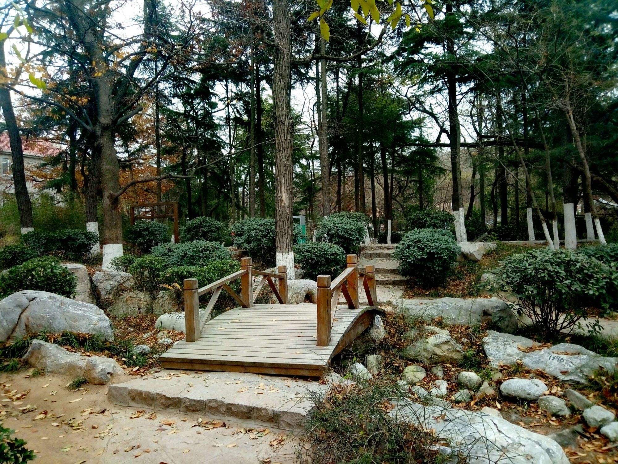 榉林公园旅行图片 3