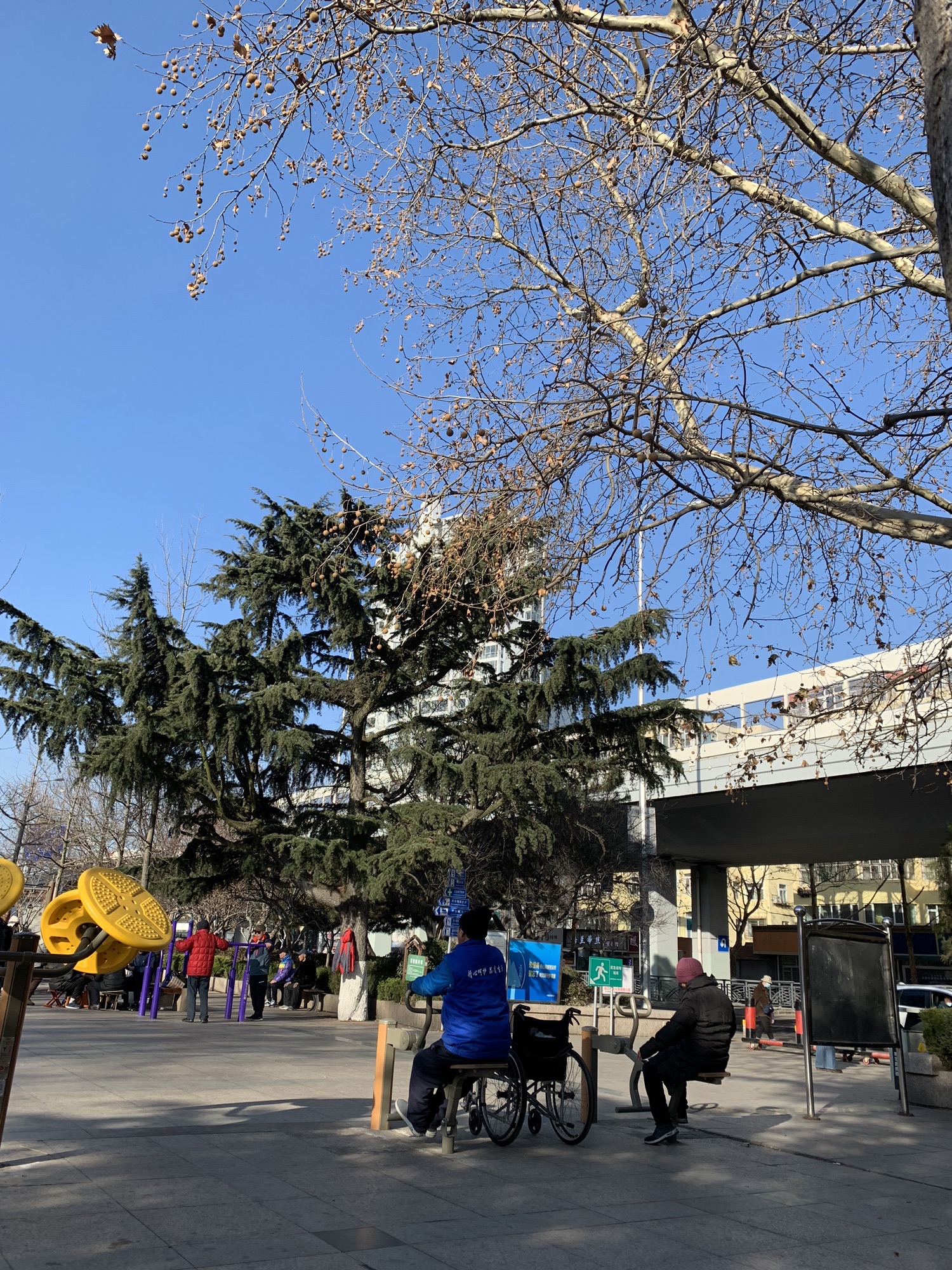 老年乐园旅行图片 3