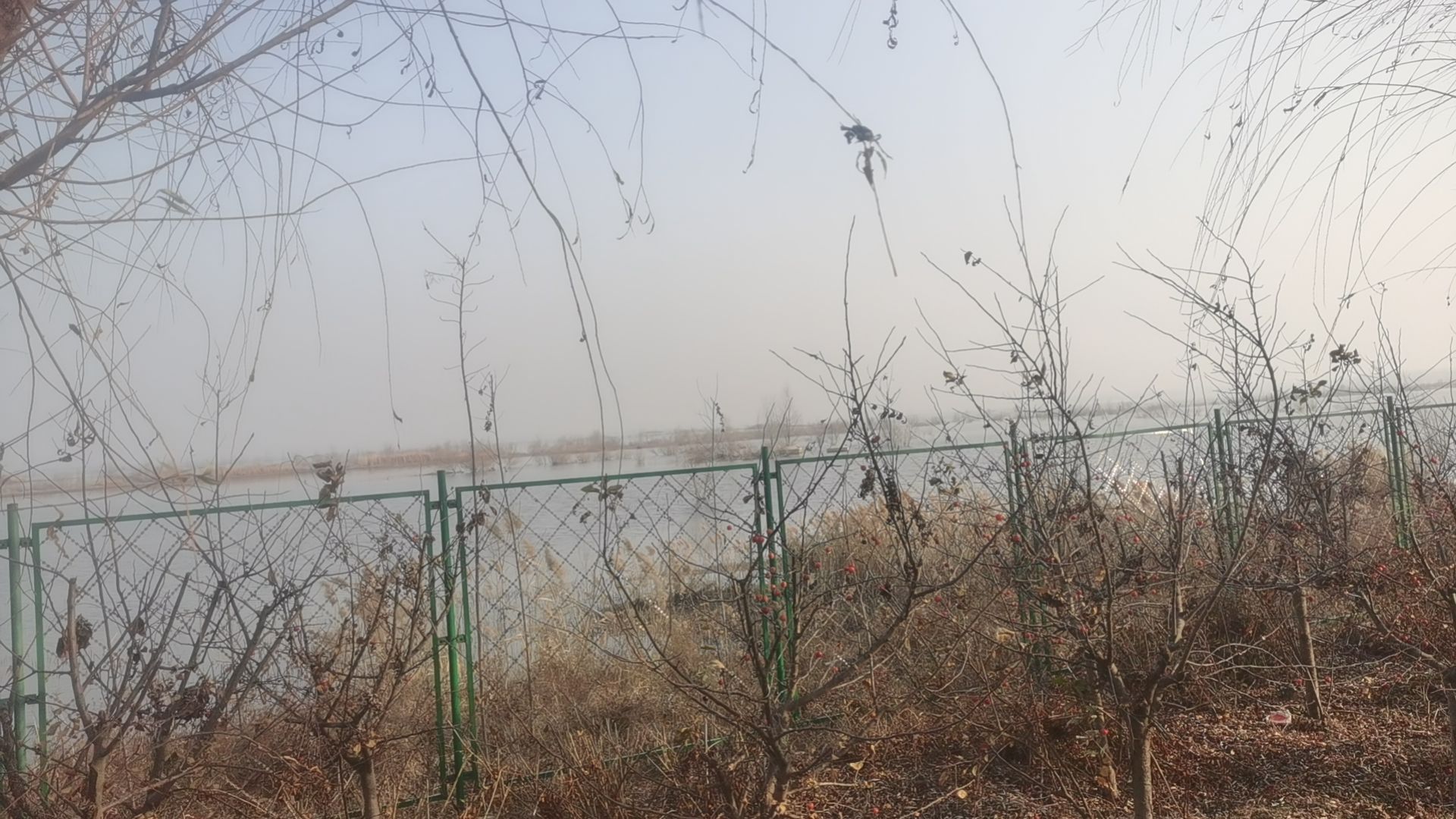 南岚遗址旅行图片 1