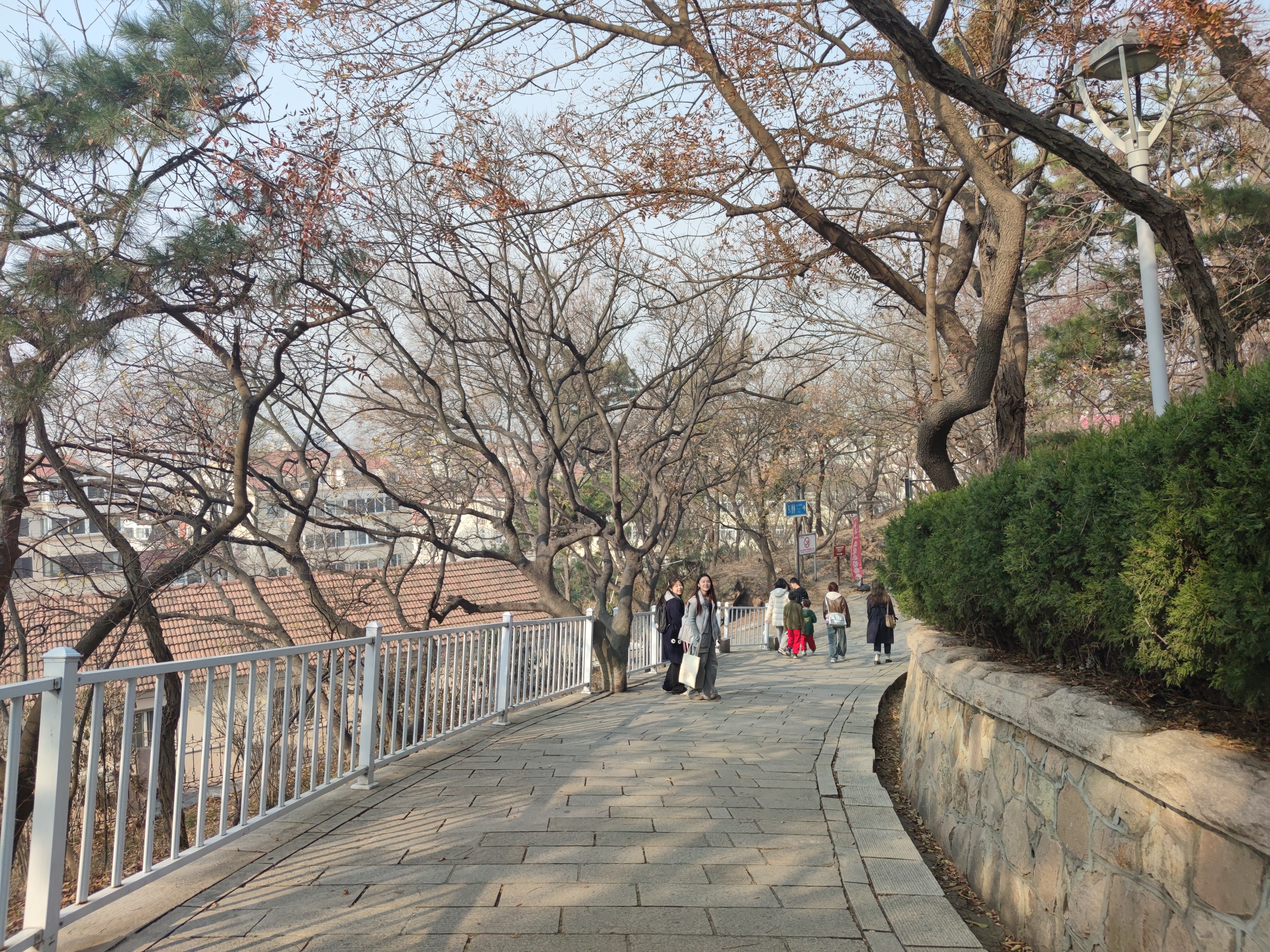 青岛山一战遗址公园旅行图片 3