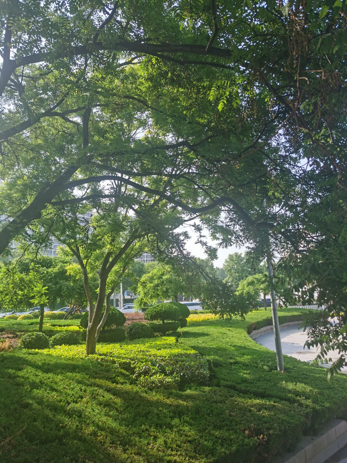百通广场旅行图片 3
