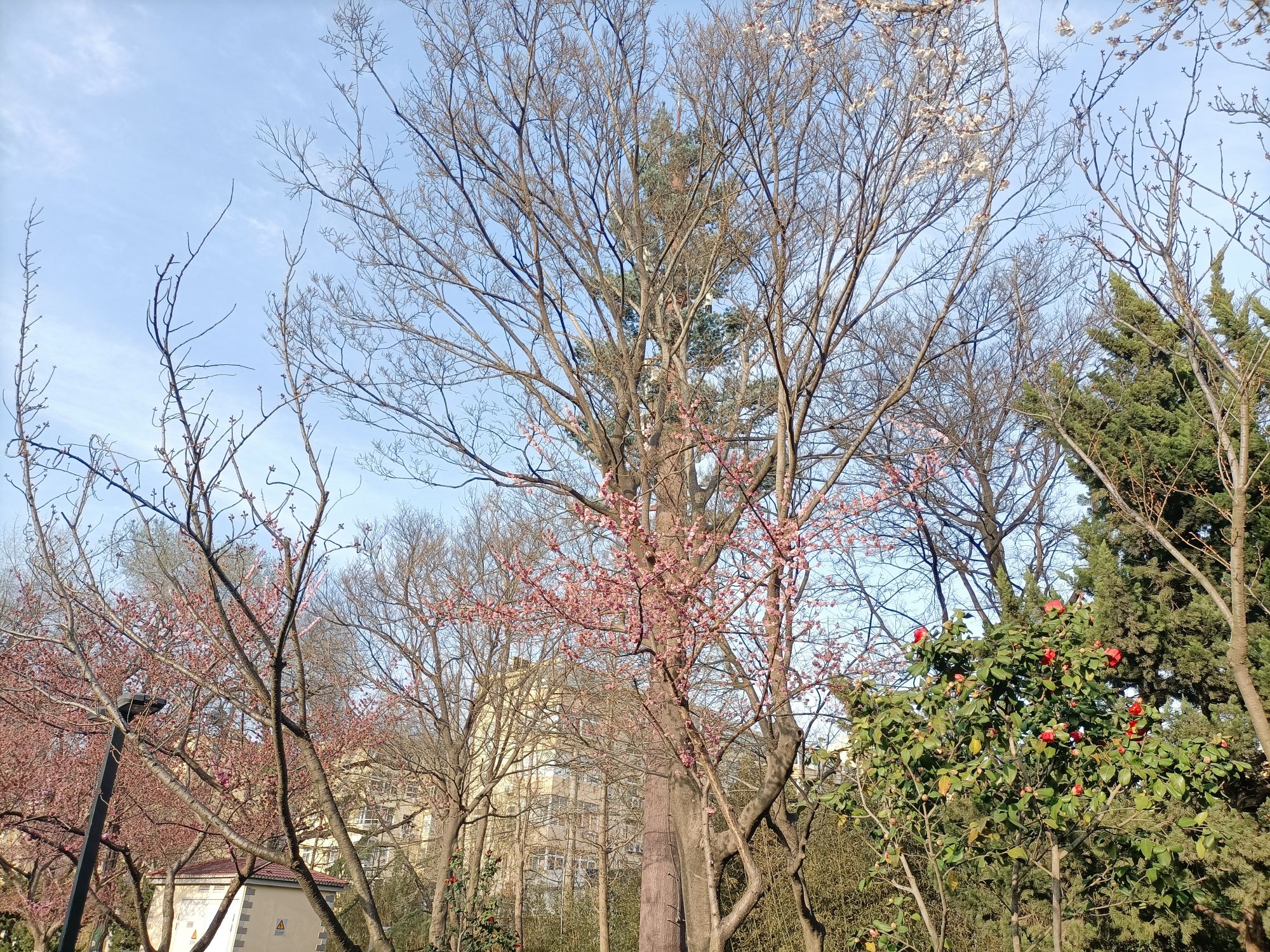 青岛市海泊河公园旅行图片 2