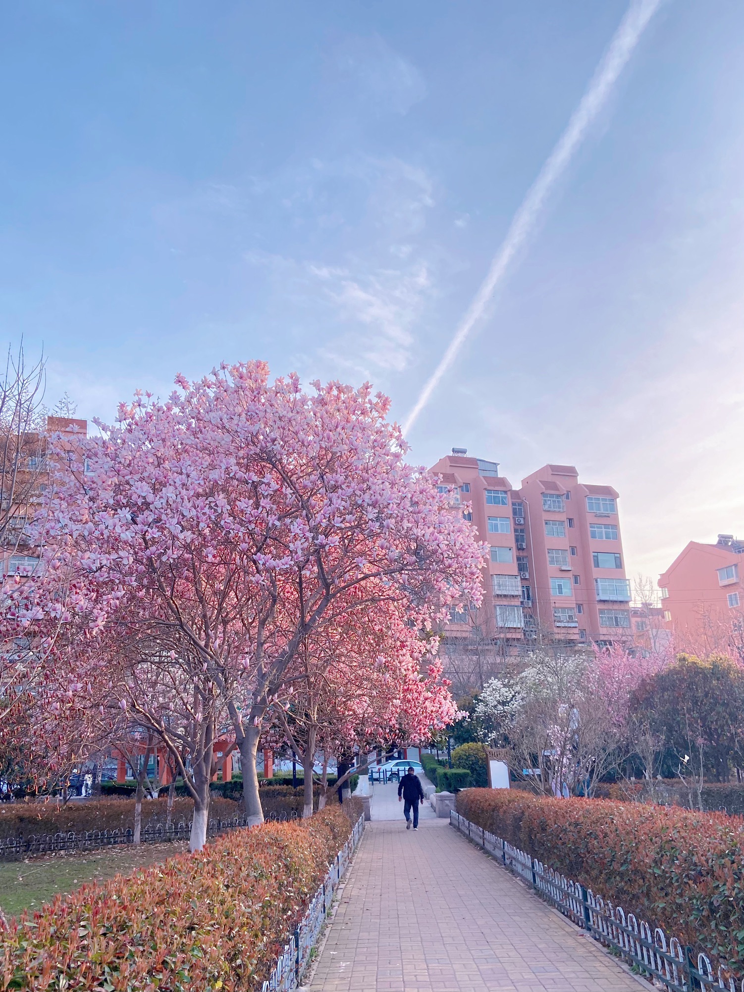 青岛市海泊河公园