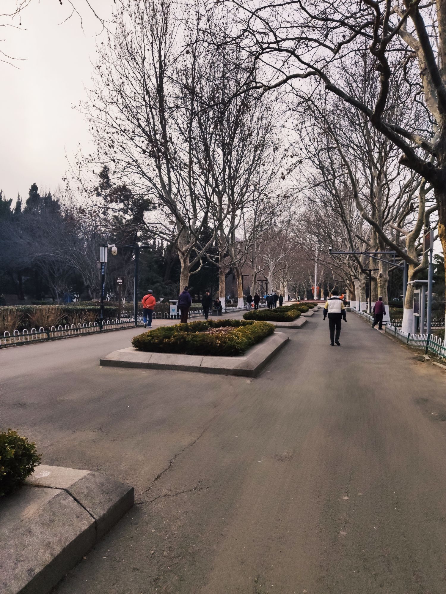 青岛市海泊河公园旅行图片 2