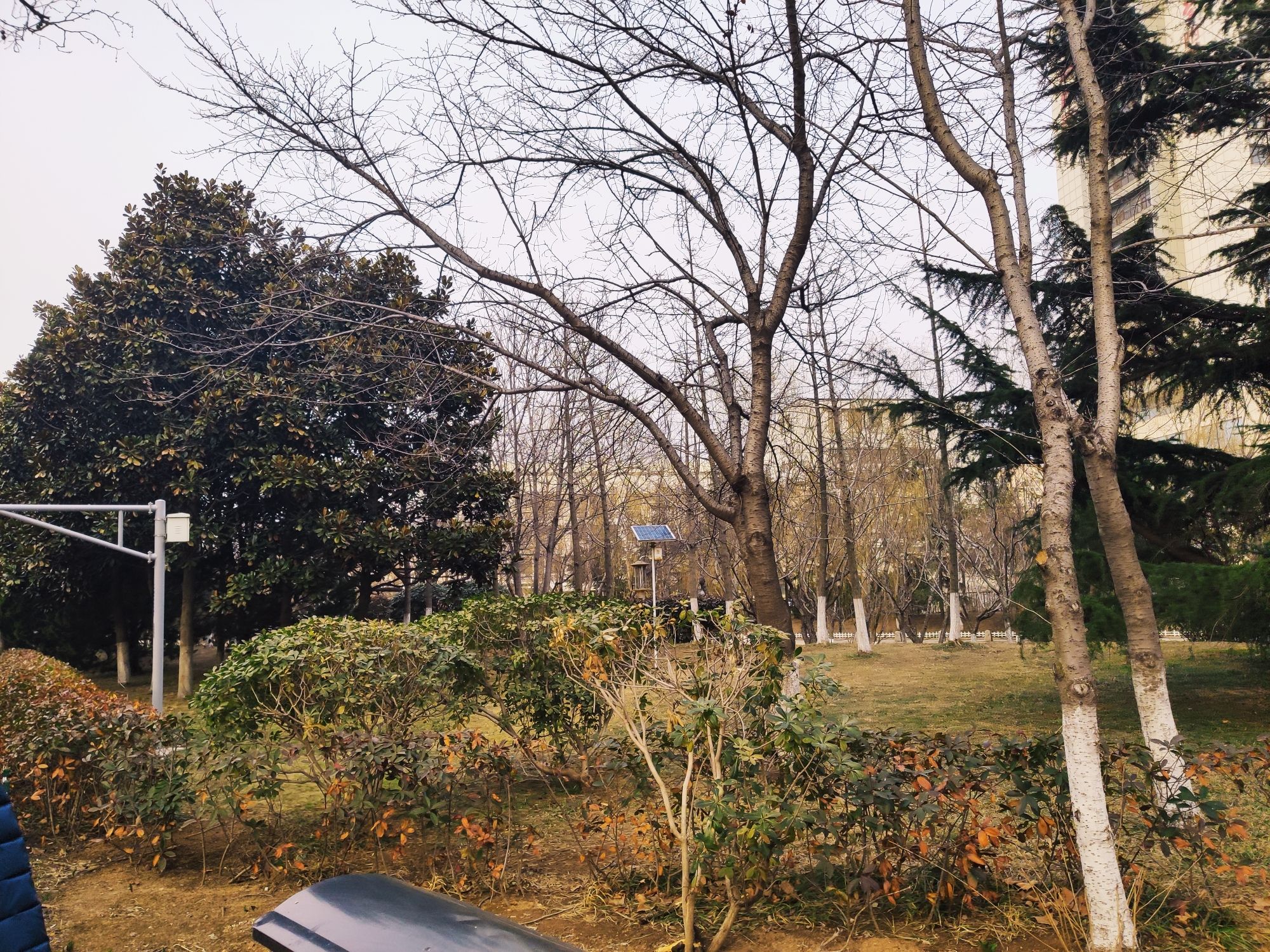 青岛市海泊河公园旅行图片 3